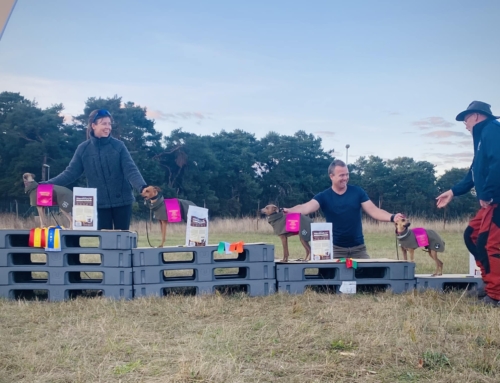 International Lure Coursing competition in Sweden